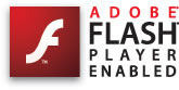 flash enabled logo